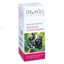 Gemmo Mazerat schwarze Johannisbeere Dr.Koll Ribes