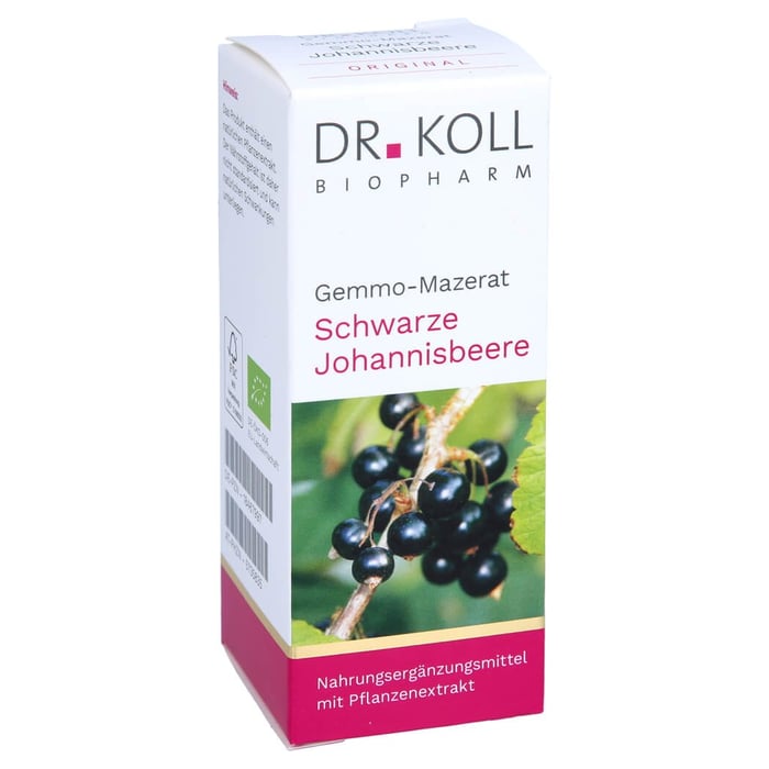 Gemmo Mazerat schwarze Johannisbeere Dr.Koll Ribes