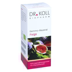 Gemmo Mazerat Feige Dr.Koll Ficus carica Tropfen