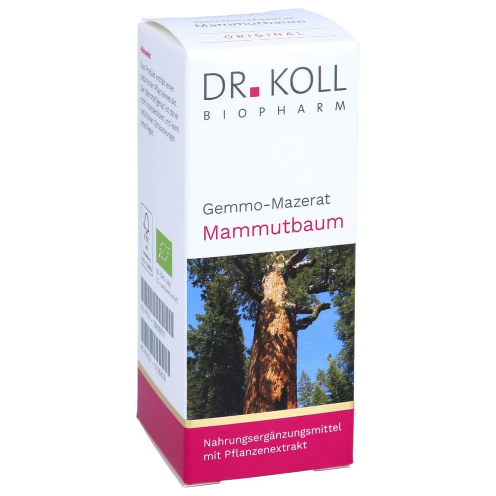 Gemmo Mazerat Mammutbaum Dr.Koll Sequoia gigantea