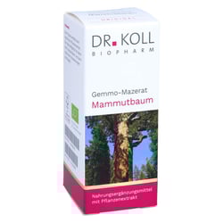 Gemmo Mazerat Mammutbaum Dr.Koll Sequoia gigantea