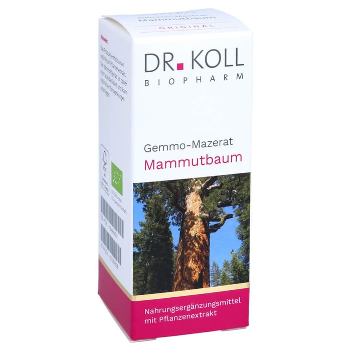 Gemmo Mazerat Mammutbaum Dr.Koll Sequoia gigantea