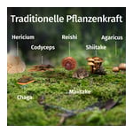 Green Naturals Vital Pilze Produktbild 4