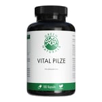 Green Naturals Vital Pilze Produktbild 1