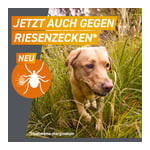 Frontpro 136mg Hund 25-50