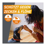 Frontpro 136mg Hund 25-50