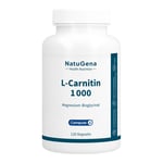 L Carnitin Magnesium