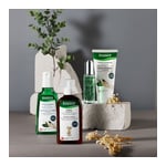 Rausch Coffein-Kopfhaut-Intensiv-Fluid mit Ginseng Produktbild 4