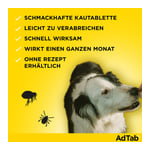 Adtab 112 mg Hund 2,5-5,5 kg Produktbild 6