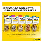 Adtab 900 mg Hund 22-45 kg Produktbild 7