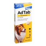 Adtab 900 mg Hund 22-45 kg Produktbild 1