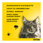 Adtab 48 mg Katze 2-8 kg Produktbild 6