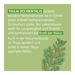 Thuja C30 Globuli Pflüger Dosierspender Produktbild 8