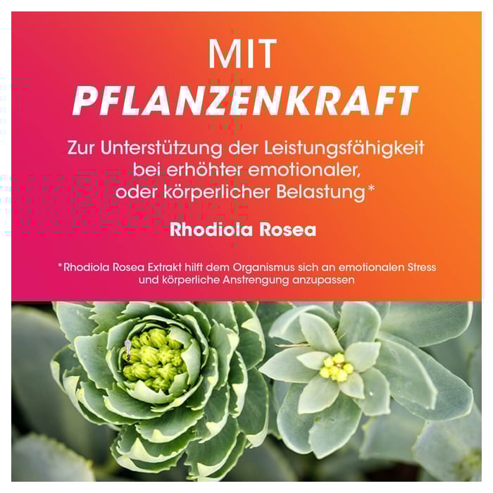 Vitasprint Duo Energie