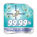 Corega Tabs Intensiv Reiniger