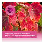 Antiveno Venentabletten 360 mg Produktbild 7