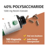 Green Naturals Reishi 650 mg hochdos.vegan Kapseln Produktbild 2