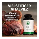 Green Naturals Reishi 650 mg hochdos.vegan Kapseln Produktbild 4