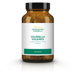 Chlorella Vulgaris