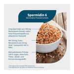 Spermidin 6 Resveratrol Produktbild 2