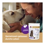 Doppelherz für Tiere Relax Complex für Hunde