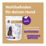 Doppelherz für Tiere Relax Complex für Hunde