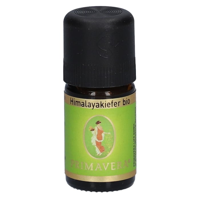 Himalayakiefer Bio