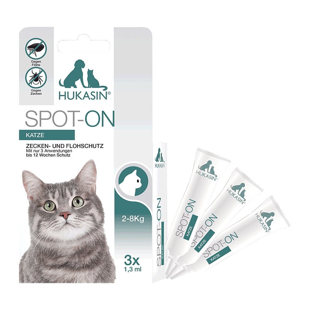 Hukasin Spot on Katze