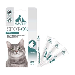 Hukasin Spot on Katze