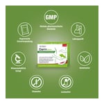 Dr.Böhm Darm aktiv Pulver