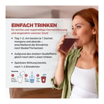 Dr.Böhm Darm aktiv Pulver