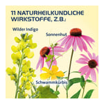 Sinusitis Hevert Produktbild 4