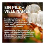 Green Naturals Hericium Produktbild 4
