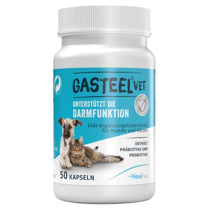 Gasteel vet
