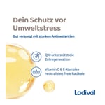 LADIVAL Antioxidativ Creme Gesicht LSF 30