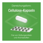 Melisse Verla Purkaps