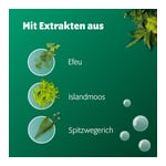 FORTOLINO Husten Sirup