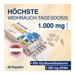Gelencium Weihrauch Plus