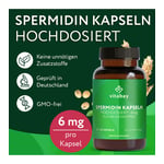 Spermidin 6 mg hochdosiert Produktbild 4