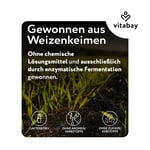 Spermidin 6 mg hochdosiert Produktbild 6