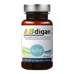 Abdigan