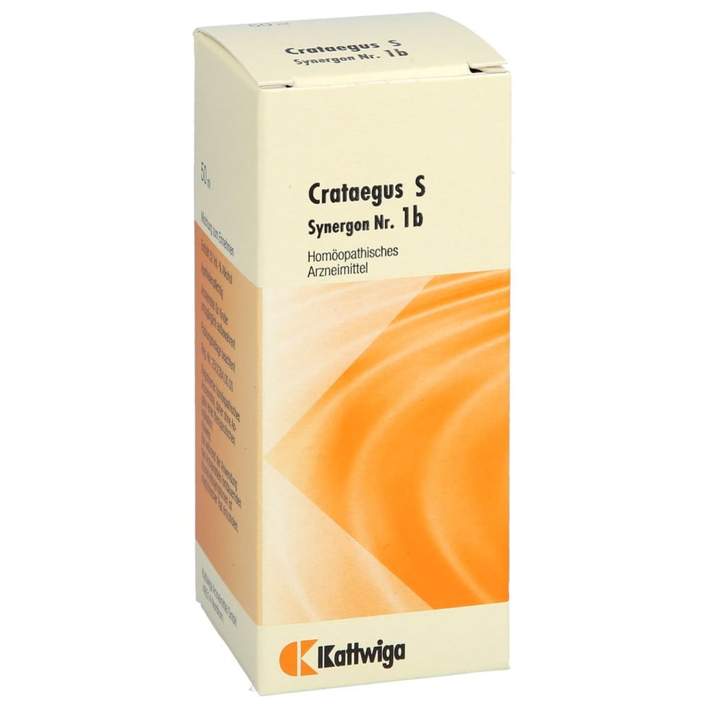 Synergon Kompl Cratae S 1b