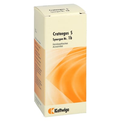 Synergon Kompl Cratae S 1b
