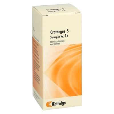 Synergon Kompl Cratae S 1b