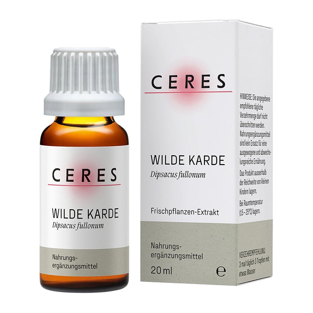 Ceres Wilde Karde Dipsacus