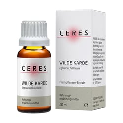 Ceres Wilde Karde Dipsacus