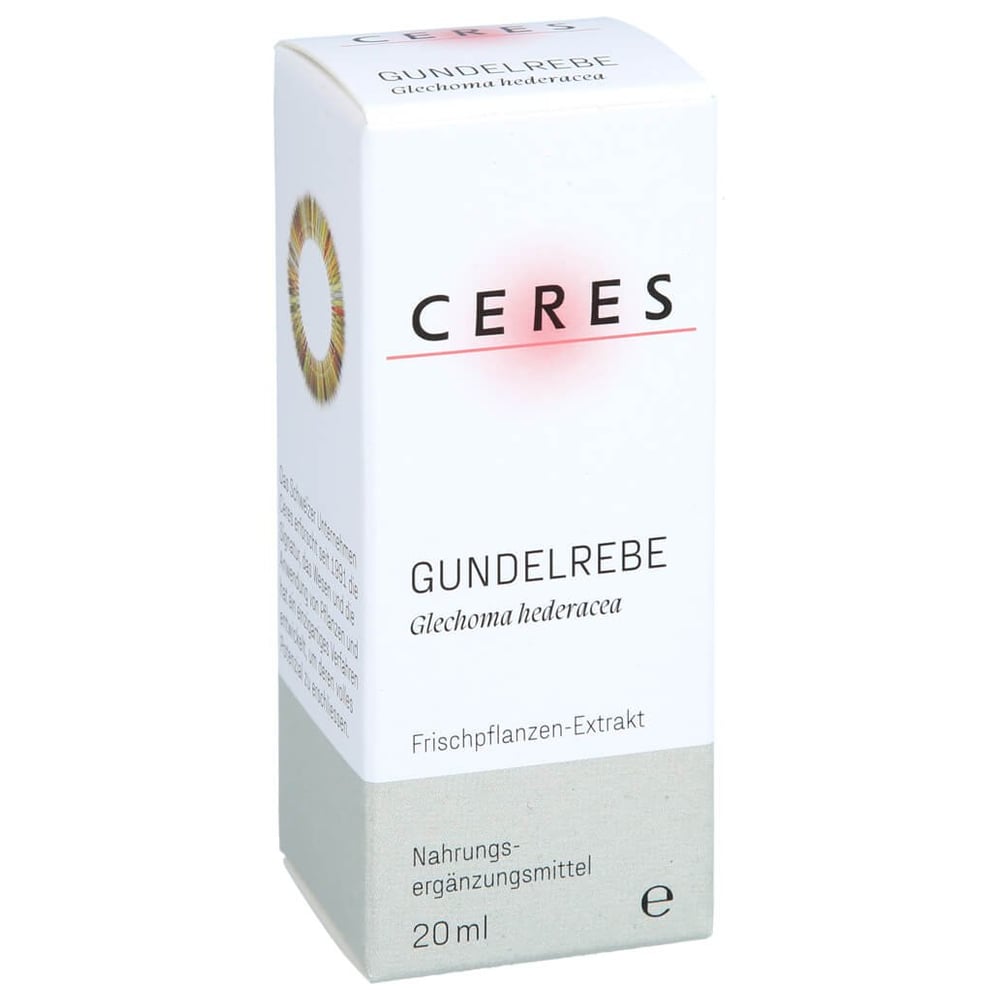 Ceres Gundelrebe Glechoma