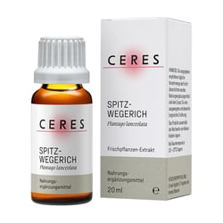 Ceres Spitzwegeri Plantago