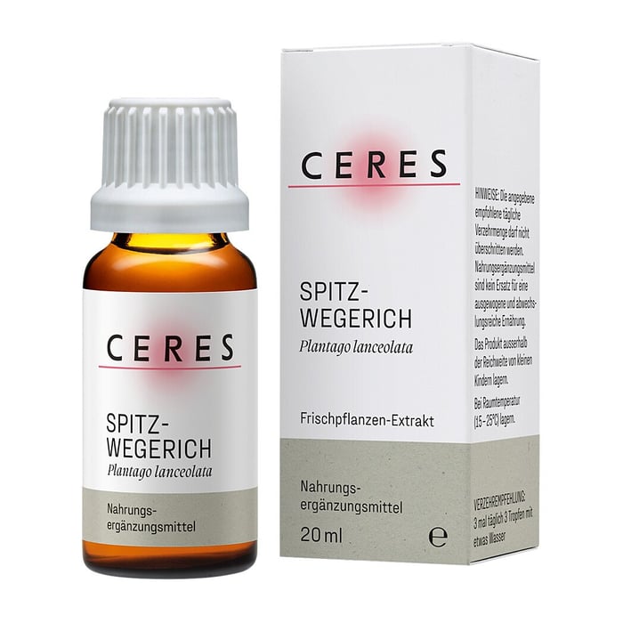 Ceres Spitzwegeri Plantago