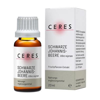 Ceres Johannisbeere Ribes